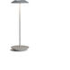 Royyo 17.4 inch 11.00 watt Silver Desk Lamp Portable Light in Silver With Silver